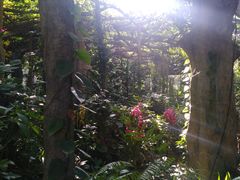 -广西壮族自治区药用植物园