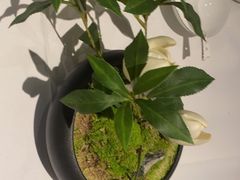 -百富源·海鲜辽菜(和平北大街店)