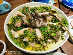 青青椒麻龙胆鱼-CHIC1699远洋私厨