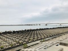 -福合埕牛肉丸(水仙园店)