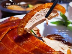 精品烤鸭-悦江(梅奔中心店)
