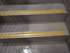 -汇乐游泳馆(莲花南路店)
