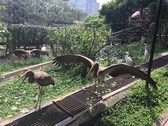 -吉隆坡雀鸟公园