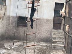 -昆明动物园