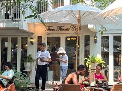 -Fern Forest Cafe
