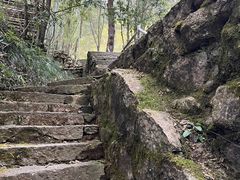 -黄山翡翠谷景区