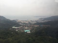 -深圳东部华侨城瀑布酒店