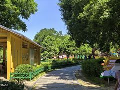 -太阳宫公园