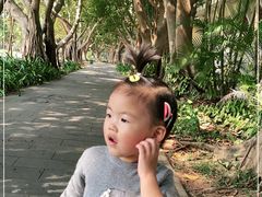 -万绿园