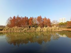 -诺贝尔湖公园