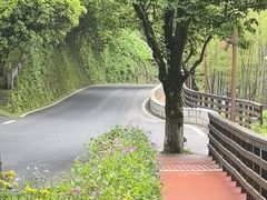 -莫干山风景区