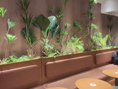 -奈雪的茶(杨家坪万象城店)