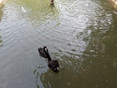 -上海虹桥迎宾馆