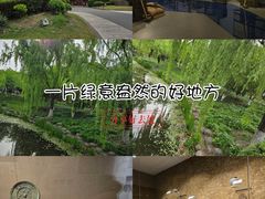 -桐乡植物园