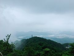 -梧桐山风景名胜区
