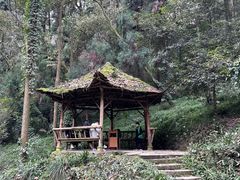 -青城山