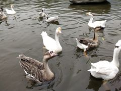 -西安秦岭野生动物园