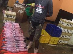 -尼甘布海鲜市场