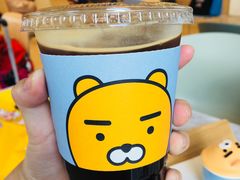 -KAKAO FRIENDS(弘大店)