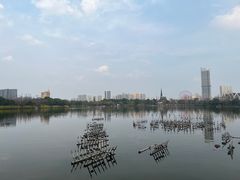 -成都南湖公园