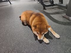 -博纳私人订制健身(中集美兰湖店)