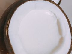 -志龙皇冠吃货椰子铺