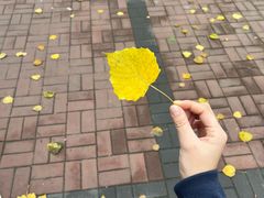 -来御来三汁焖锅(万邦店)