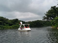-济州森林小火车生态公园
