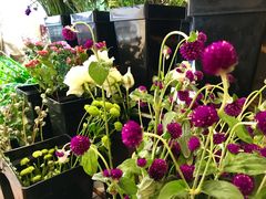 -森野花艺培训·企业团建活动沙龙