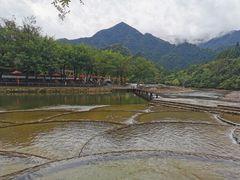 -杨家寨