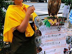 -秋叶原电器街