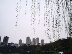 -重庆彩云湖湿地公园