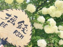 -常熟方塔园