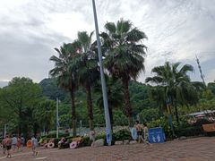 -重庆海昌加勒比海水世界