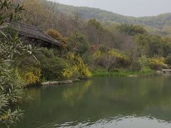 -习家池