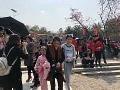 -天适樱花悠乐园