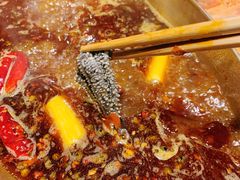 -来涮蜀鲜货火锅串串香(菜市口店)