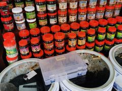 -古城陈仁堂(牌坊街店)