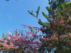 -人民公园(罗湖区)