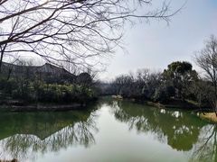 -西溪国家湿地公园