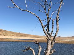 -塞罕坝国家级自然保护区