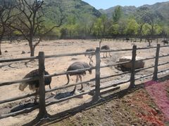 -西安秦岭野生动物园