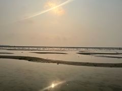 -红树林天天赶海