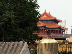 -Sirena海妖日咖夜酒