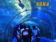 -左海海底世界