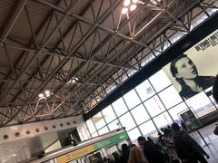 -米兰马尔彭萨国际机场