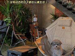 -J Create城市露营咖啡·简餐·宠物(上海动物园店)