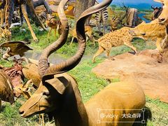 -国家自然博物馆