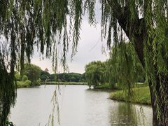 -旭宝高尔夫俱乐部
