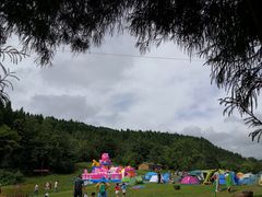 -武陵山森林公园